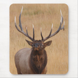 elk mouse pad