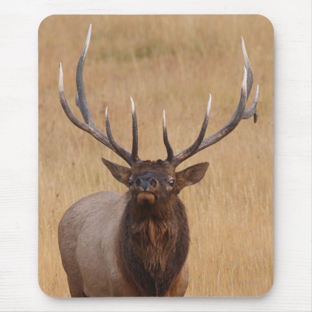 elk mouse pad (Front)