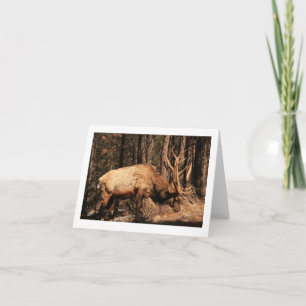 Elk notecard
