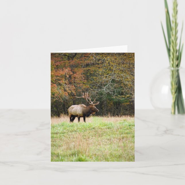 Elk Notecard (Front)