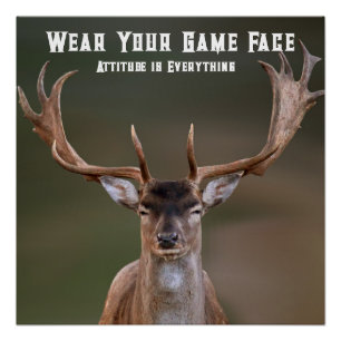 Elk Poster