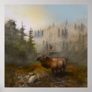 Elk Poster