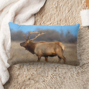Elk Profile in Autumn Lumbar Cushion