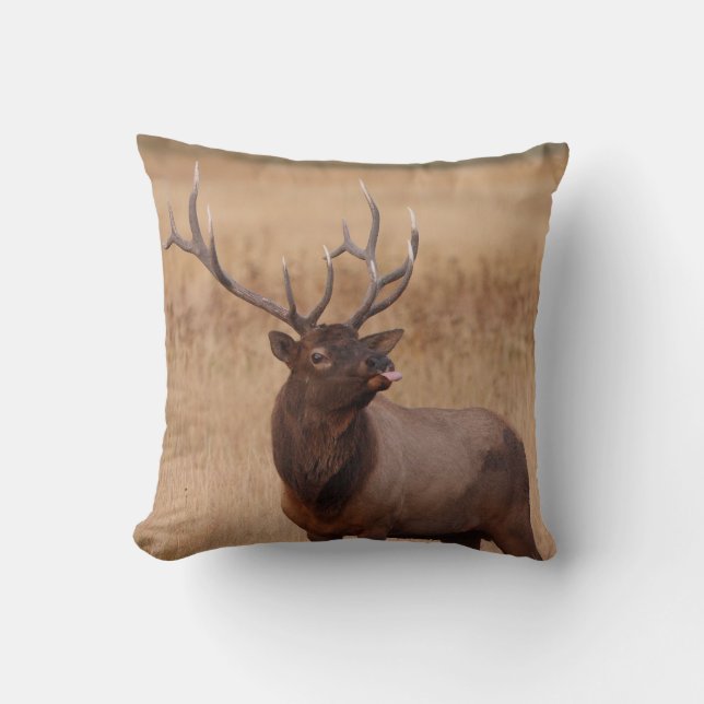 elk raspberry cushion (Front)