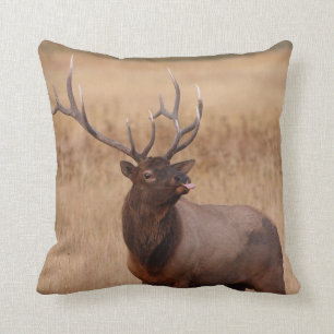 elk raspberry cushion