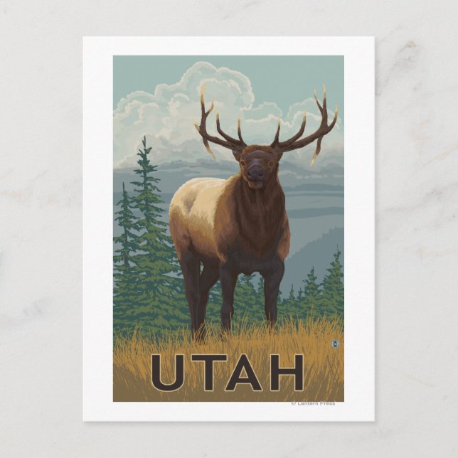 Elk SceneUtah Postcard (Front)