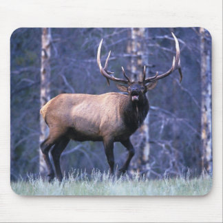Elk Scream Mouse Pad