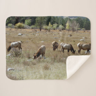 Elk sherpa blanket