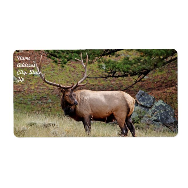 Elk Shipping Label (Front)