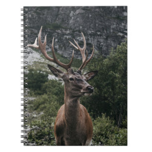 ELK STACK DEER NOTEBOOK