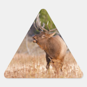 Elk Triangle Sticker