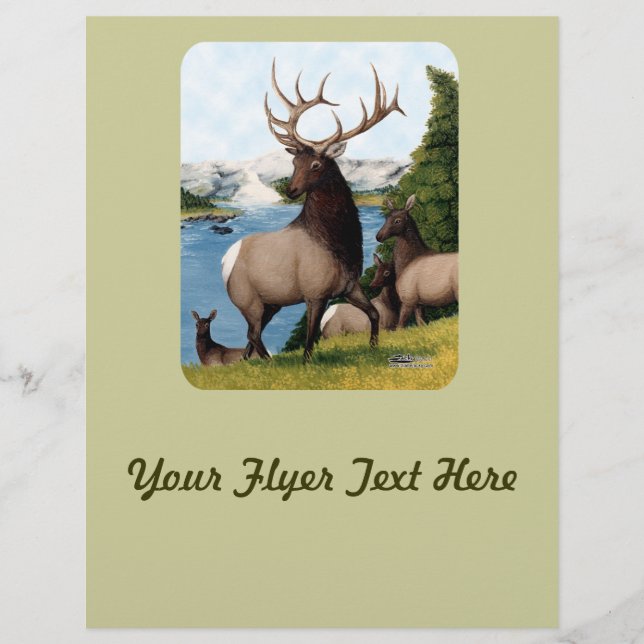Elk Wapiti Flyer (Front)