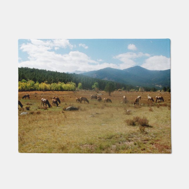 Elk wide angle door mat (Front)