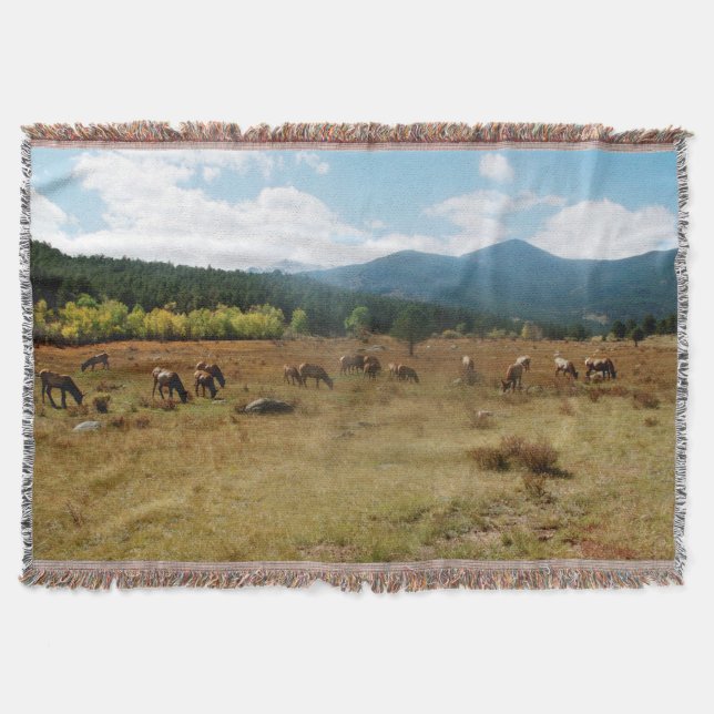 Elk wide angle throw blanket (Front)