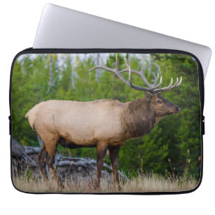 Elk   Yellowstone National Park, Wyoming Laptop Sleeve