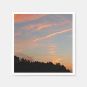 Elkridge Sunset Maryland Landscape Napkin