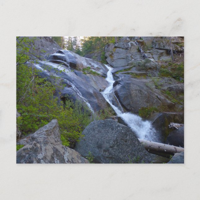 Ella Falls at Sequoia National Park Postcard (Front)