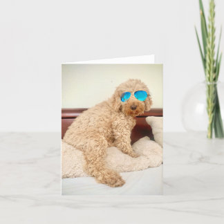 Ella wears her favourite shades thank you card
