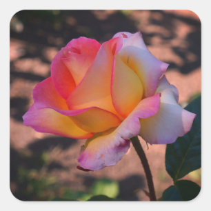 Elle Rose #1 Stickers