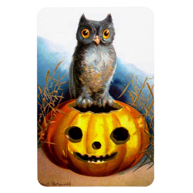 Ellen H. Clapsaddle: Halloween Owl Magnet (Vertical)
