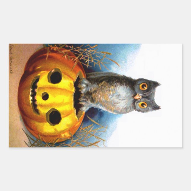 Ellen H. Clapsaddle: Halloween Owl Rectangular Sticker (Front)