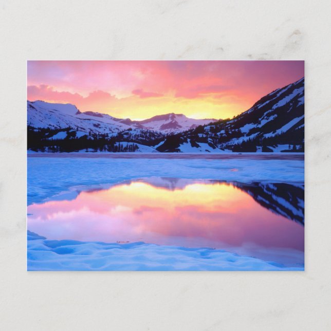 Ellery Lake at Sunset Postcard (Front)