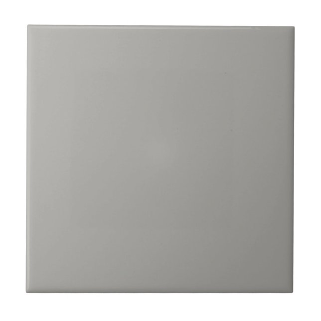 Ellie's Neutral Grey Square Kitchen and Bathroom Ceramic Tile (Front)