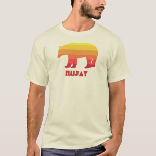 Ellijay Georgia Rainbow Bear T-Shirt