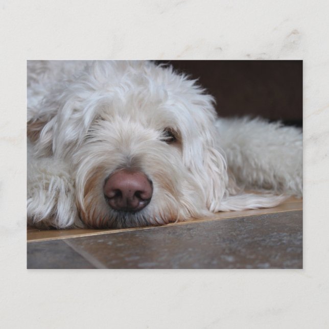 Elliot Postcard (Front)