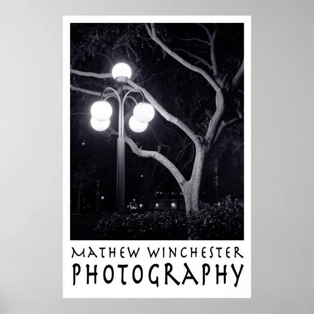 Elm and Lamppost Poster (Front)