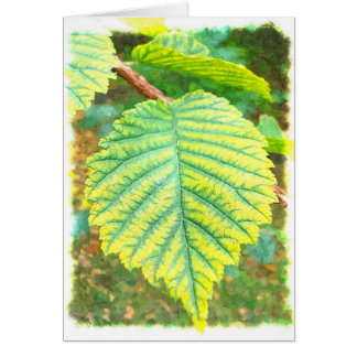 Elm Leaf in Autumn