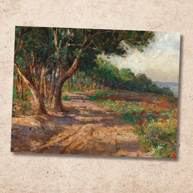 Elm-lined Promenade in Euxinograd Postcard (Creator Uploaded)