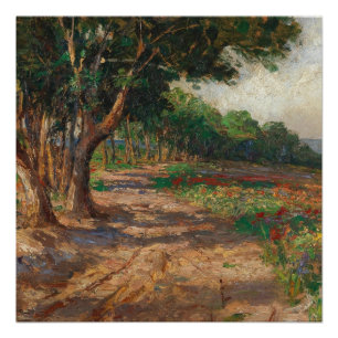 Elm-lined Promenade in Euxinograd Poster