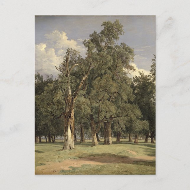 Elm trees in Prater, 1831 Postcard (Front)