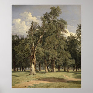 Elm trees in Prater, 1831 Poster