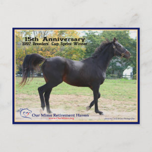 Elmhurst - '97 Breeders' Cup Winner Postcard