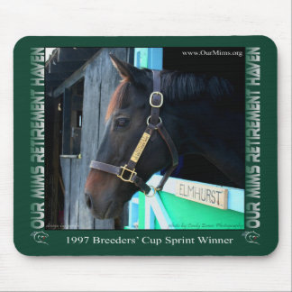 Elmhurst at OMRH Mouse Pad