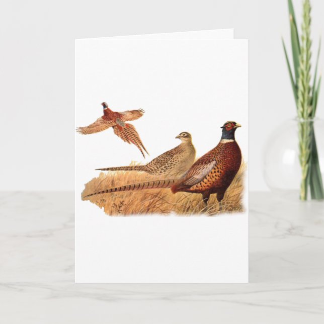 Elusive Pheasant Bird Hunting Card (Front)