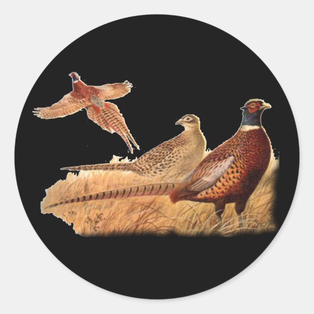 Elusive Pheasant Bird Hunting Classic Round Sticker (Front)