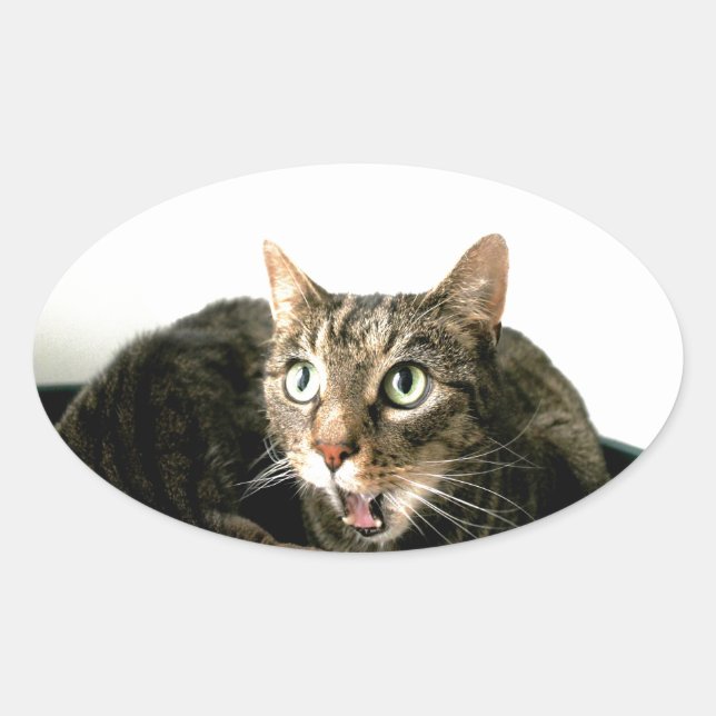 Elvis Oval Sticker (Front)