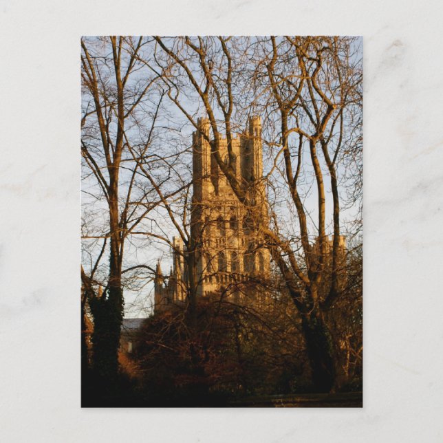 Ely Cathedral Postcard (Front)