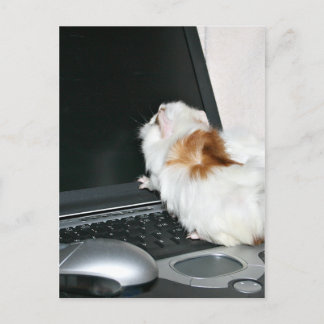 Email me! postcard