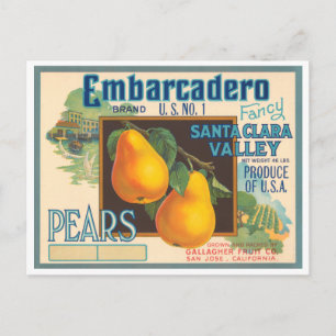 Embarcadero Brand Vintage Crate Label Postcard