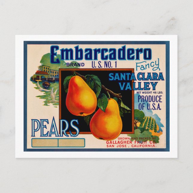 Embarcadero Fancy Santa Clara Pears Postcard (Front)