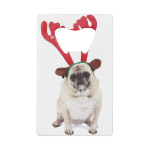 Embarrassed looking Pug wearing Reindeer Antlers