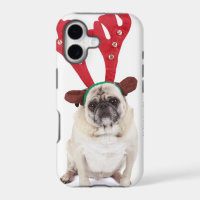 Embarrassed looking Pug wearing Reindeer Antlers