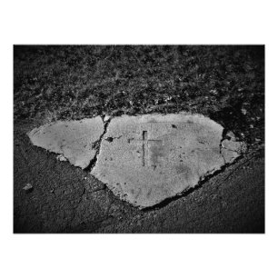 "Embedded by Generations" Photo Print