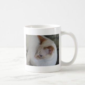 Ember mug