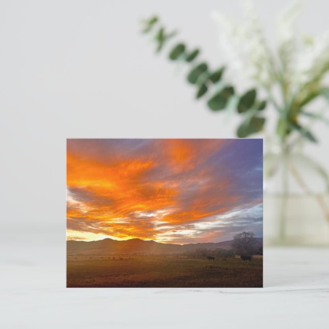 Ember Sky Postcard (Standing Front)