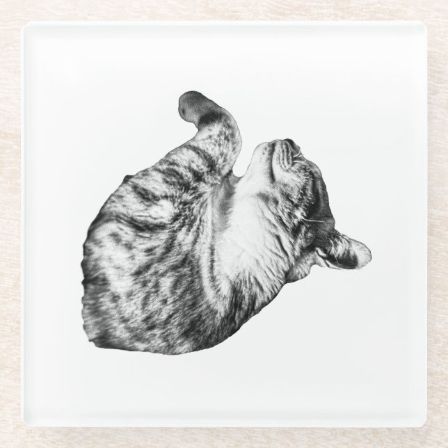 Ember-Step Purr Glass Coaster (Front)